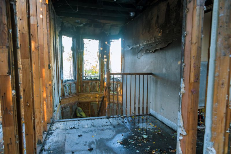 Fire Restoration detail